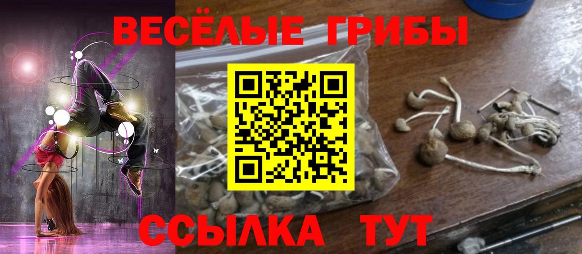 Острогожск  Псилоцибиновые грибы Psilocybe  Вход с VPN  Псилоцибиновые грибы GOLDEN TEACHER 